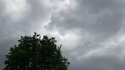 Batten Down the Hatches: Powerful Winds Set to Batter Simcoe County and Georgian Bay