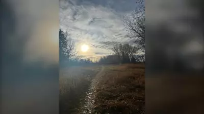 Calgary Weather: Mild Week Ahead Before Deep Freeze Next Week