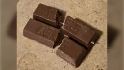 Halloween Horror: Needle-Spiked Candy Found in Multiple BC Communities