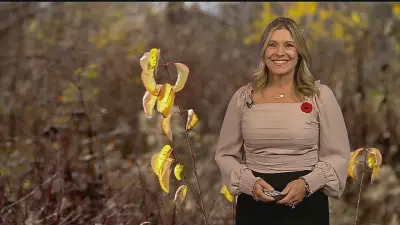 London, Ontario Bask in Spring-Like Sunshine With Unseasonably Mild Temperatures