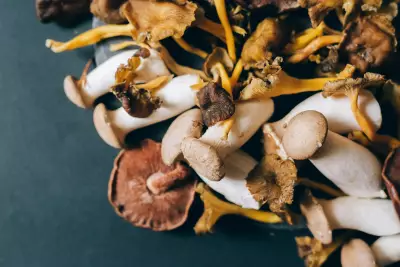Mushrooms Could Revolutionize Neural Technology, Study Finds