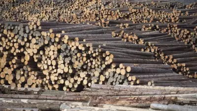 Nova Scotia Invests $1.8M in Forestry Innovation Trust