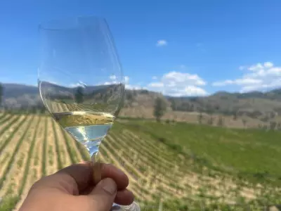 Quebec Aims to Remove Provincial Alcohol Trade Barriers by May