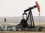 2 Million Barrel Divide: IEA and OPEC Clash on 2026 Oil Demand