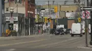 67-Year-Old Pedestrian Killed in Osborne Village Crash