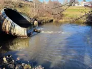 86-Year-Old's Miraculous Escape After Car Plunges into Water Near Moncton