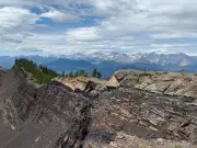 Alberta's $240M Coal Policy Failures Threaten Billions More