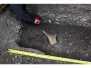 B.C. Municipalities Reject Rushed Heritage Act Overhaul