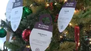 Be a Santa to a Senior: Nova Scotia Program Aids Isolated Elders