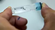 Brazil Approves World's First Single-Dose Dengue Vaccine in Medical Breakthrough