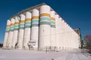 Bunge Divests Western Grain Elevators to Fulfill Viterra Merger Terms