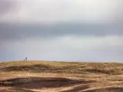 Calgary Police Investigate Human Remains Found at Nose Hill Park