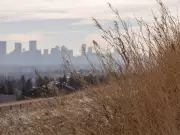 Calgary Police: No Foul Play Suspected in Nose Hill Human Remains