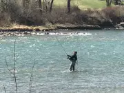 Calgary vs. Edmonton: Which City Has the Best River Valley?