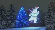 Calgary's Lions Festival of Lights Returns for 39th Year