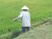 Canada's $1.73B Gendered Foreign Aid Continues Despite Policy Shift