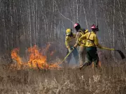 Canada's Wildland Firefighters Demand First Responder Status: Why They Deserve Better