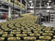 Canadian Brewers Face Expansion Hurdles Despite Trade Push