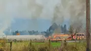 Chilliwack Chicken Barn Destroyed by Fire on November 25, 2025