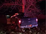 Driver, 37, Fights for Life After Single-Vehicle Crash on County Road 42