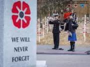 Field of Crosses: Calgary's Powerful Tribute to Alberta's Fallen Soldiers