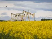 Financial Post Expands Westward: New Calgary Bureau to Amplify Western Canada's Business Voice