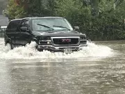 Ford's Conservation Merger Threatens Windsor-Essex Development and Farming