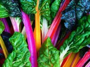 Growing Edible Ornamentals: Add Colour and Flavour to Your Garden