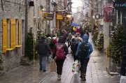 Holiday Job Postings Rise in Canada But Competition Remains Fierce