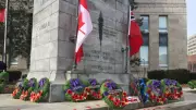 Honour Canada's Heroes: Your Complete Guide to Remembrance Day Ceremonies Across the Country
