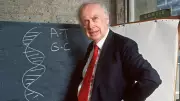 James Watson, DNA Pioneer and Nobel Laureate, Dies at 97