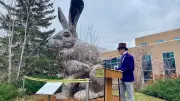 Massive Rabbit Sculpture Hops Onto University of Regina Campus | CTV News