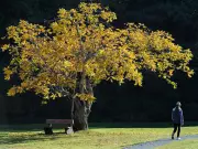 Metro Vancouver Considers Expanding Campgrounds as Outdoor Recreation Demand Soars