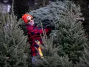 Montreal's Winter Forecast: A Classic Quebec Winter Ahead