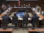 MPs Blast Stellantis Rep's 'Unacceptable' Absence From Federal Committee