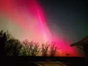 Northern Lights Illuminate Alberta Skies During Solar Storm