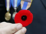 Nova Scotia Judges Defend Poppy Ban in Courtrooms Citing Impartiality