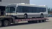 OC Transpo's $192K Used Bus Gamble: Ottawa's Controversial Transit Purchase