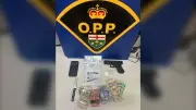 OPP Highway 11 Plate Reader Bust Nets Drugs, Imitation Gun, and Cash
