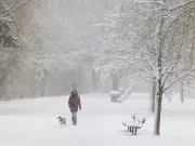 Ottawa's Snow Removal Standards Frozen in Time Since 2003