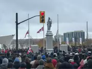 Poll: Most Canadians Believe Support for Local Veterans Is Insufficient