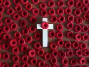 Proper Way to Read In Flanders Fields Poem Revealed | Ottawa Insight