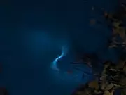 Spectacular Light Spiral Dazzles Quebec Skies Following Ariane 6 Rocket Launch