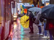 STM Strike Fallout: Montreal Monthly Transit Pass Sales Plummet as Commuters Seek Alternatives
