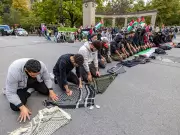 Terrorism Expert Warns Canada Faces 'Conquering Streets' Threat