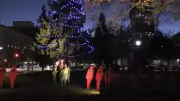 Tree of Hope Illuminates London's Femicide Crisis: Shining Light on Intimate Partner Violence