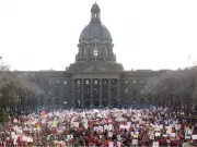 UCP Faces Backlash Over Teacher Law and Recall Legislation