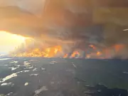 U.S. Urges Canada to Ramp Up Forest Management as Wildfires Rage | Cross-Border Strategy Debate