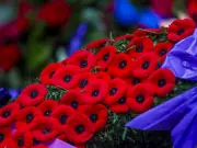 Veterans Affairs Faces $4.2B Cuts Amid Remembrance Day Thanks