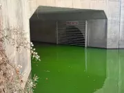 Vivid Green Water Discovery in Windsor Creek Sparks Investigation